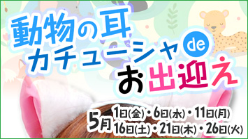 動物の耳カチューシャdeお出迎え